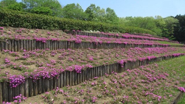 f:id:cafeee:20180521214252j:plain f:id:cafeee:20180521214252j:plain