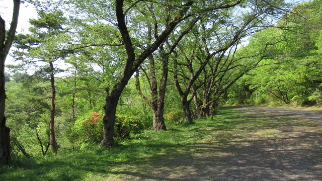 f:id:cafeee:20180521214640j:plain f:id:cafeee:20180521214640j:plain