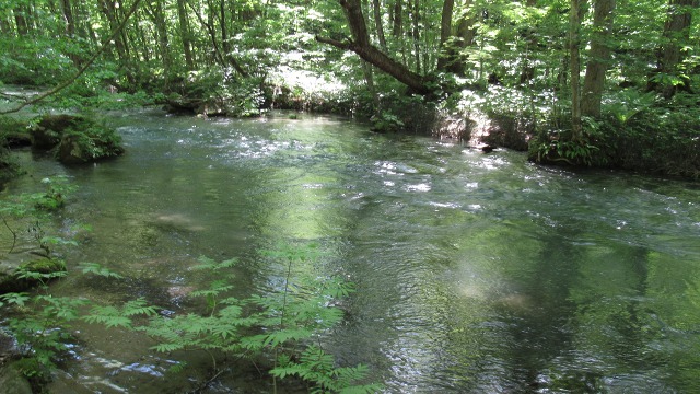 f:id:cafeee:20180710215212j:plain