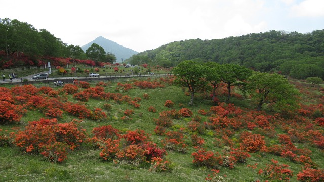 f:id:cafeee:20180719220728j:plain