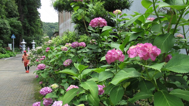 f:id:cafeee:20180726215614j:plain