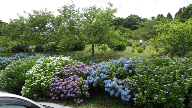f:id:cafeee:20180727221440j:plain f:id:cafeee:20180727221440j:plain