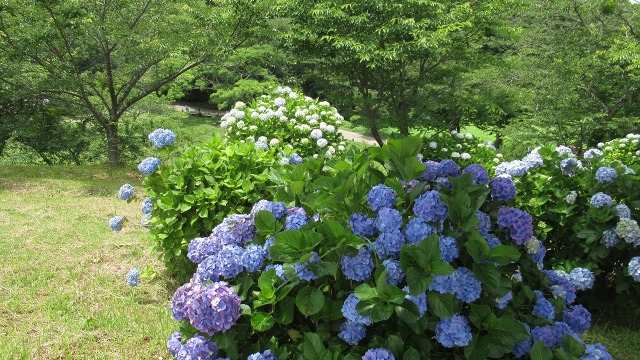 f:id:cafeee:20180727221550j:plain f:id:cafeee:20180727221550j:plain