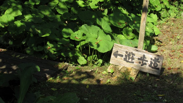 f:id:cafeee:20180821212302j:plain