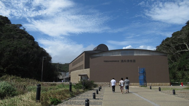 f:id:cafeee:20180928215501j:plain f:id:cafeee:20180928215501j:plain