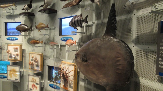 f:id:cafeee:20180928215542j:plain f:id:cafeee:20180928215542j:plain