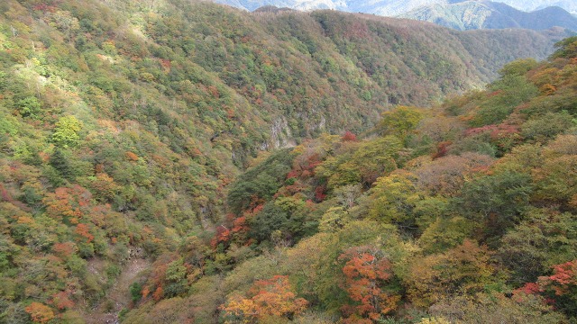 f:id:cafeee:20181018210043j:plain