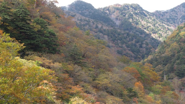 f:id:cafeee:20181018210131j:plain