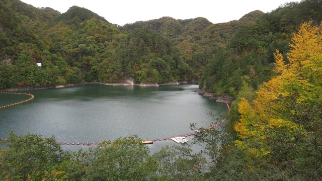 f:id:cafeee:20181024220116j:plain f:id:cafeee:20181024220116j:plain