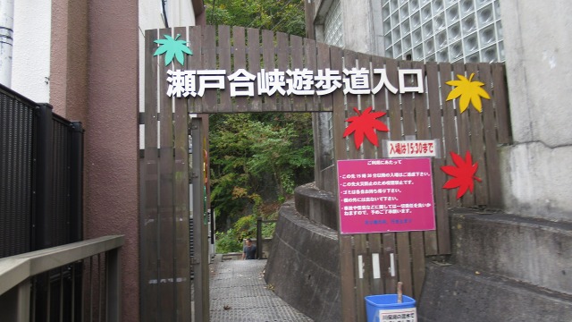 f:id:cafeee:20181024220133j:plain f:id:cafeee:20181024220133j:plain