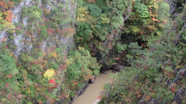 f:id:cafeee:20181024220359j:plain f:id:cafeee:20181024220359j:plain