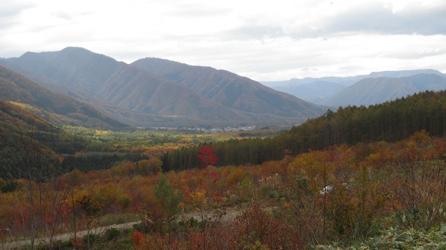 f:id:cafeee:20181204215620j:plain f:id:cafeee:20181204215620j:plain