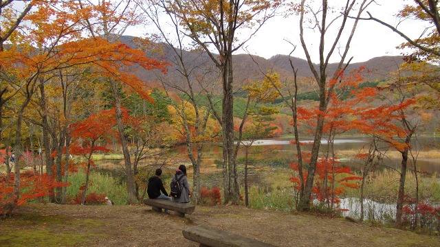 f:id:cafeee:20181204215910j:plain f:id:cafeee:20181204215910j:plain