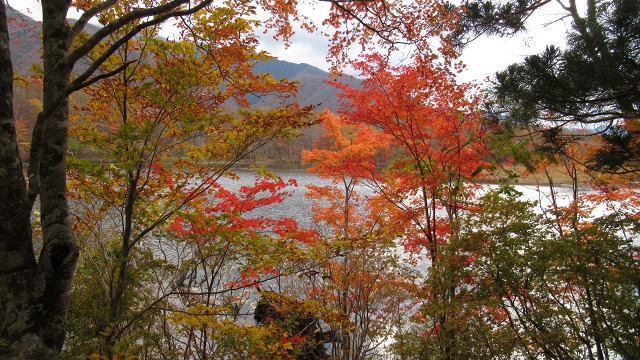f:id:cafeee:20181204220015j:plain f:id:cafeee:20181204220015j:plain