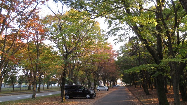 f:id:cafeee:20181207220140j:plain