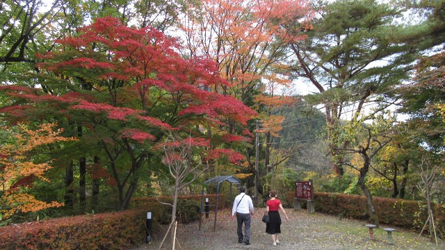 f:id:cafeee:20181215082916j:plain
