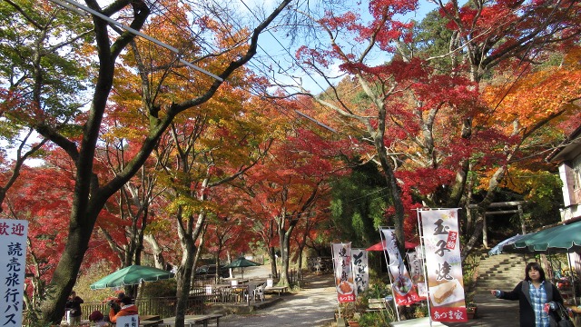 f:id:cafeee:20190108210855j:plain