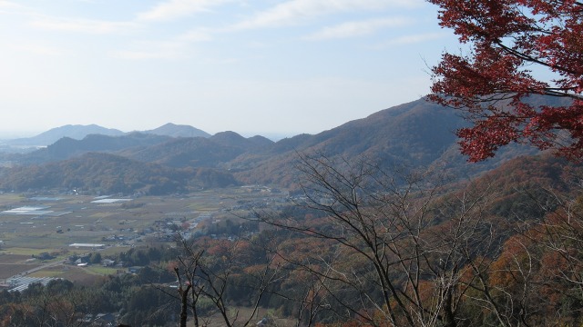 f:id:cafeee:20190108211028j:plain