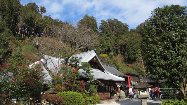 f:id:cafeee:20190108211247j:plain