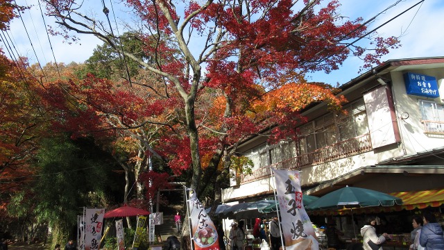 f:id:cafeee:20190108211805j:plain