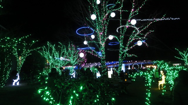 f:id:cafeee:20190120214717j:plain