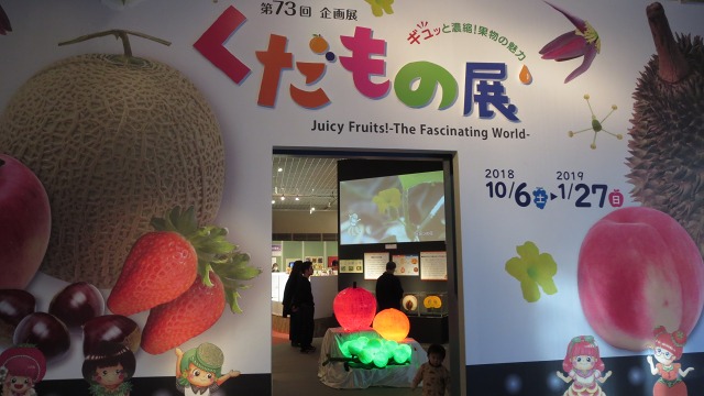 f:id:cafeee:20190215211758j:plain