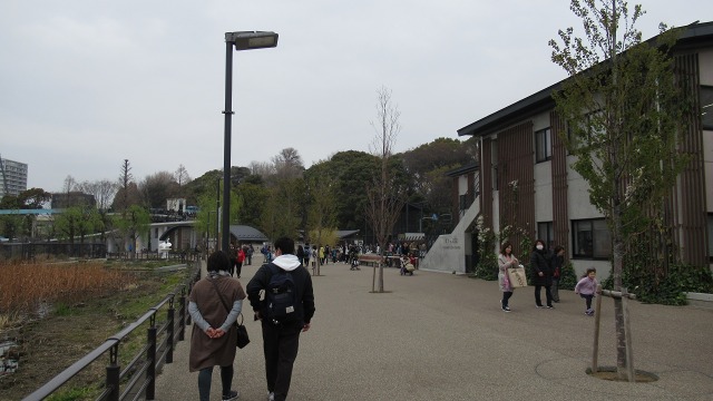 f:id:cafeee:20190410204930j:plain