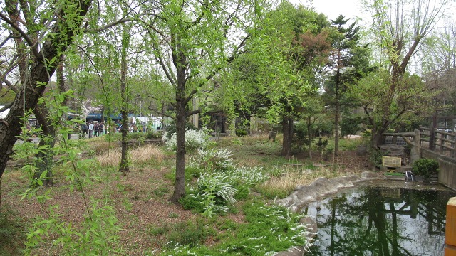 f:id:cafeee:20190410205300j:plain