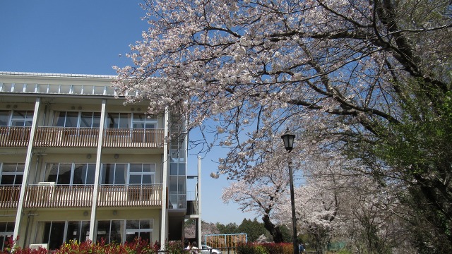 f:id:cafeee:20190423221806j:plain