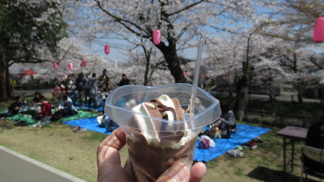 f:id:cafeee:20190423221827j:plain