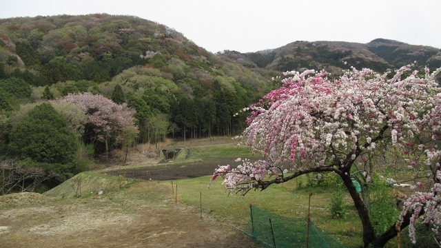 f:id:cafeee:20190523184226j:plain
