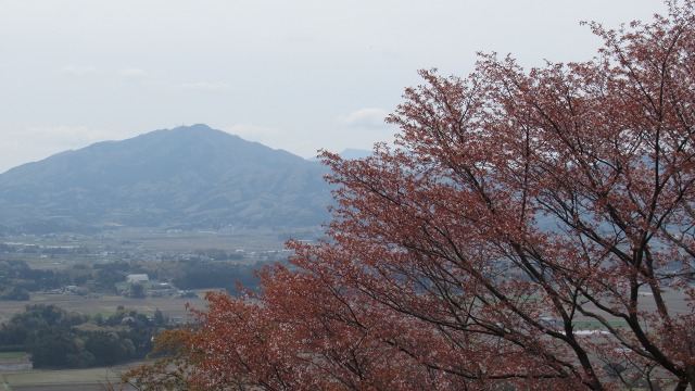f:id:cafeee:20190523184524j:plain