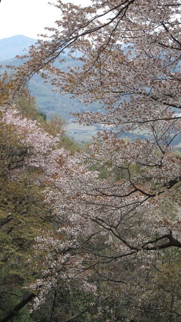 f:id:cafeee:20190523184628j:plain