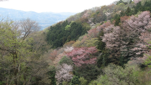 f:id:cafeee:20190523184732j:plain