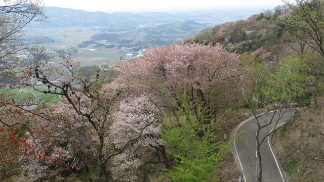 f:id:cafeee:20190523184801j:plain