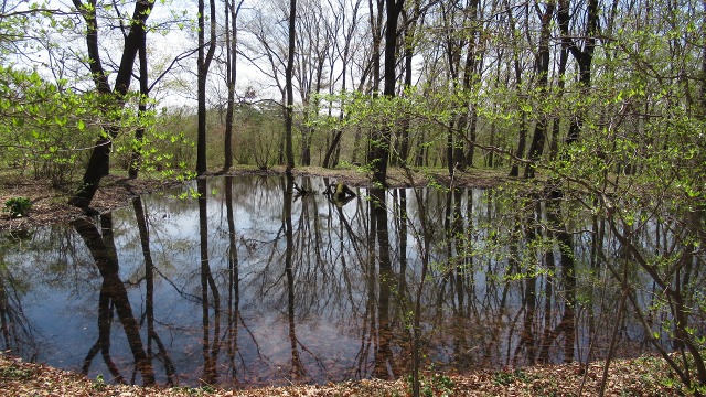 f:id:cafeee:20190613224959j:plain f:id:cafeee:20190613224959j:plain