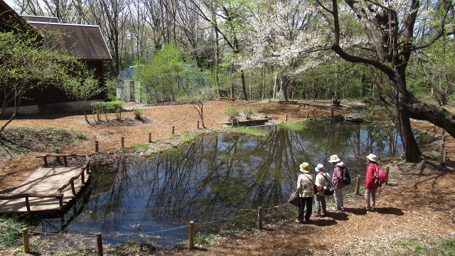 f:id:cafeee:20190613225020j:plain f:id:cafeee:20190613225020j:plain