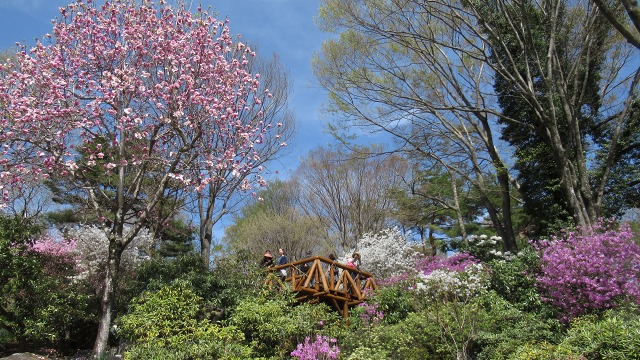 f:id:cafeee:20190613225108j:plain f:id:cafeee:20190613225108j:plain