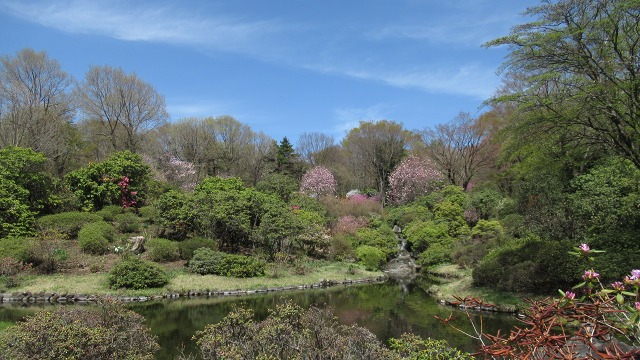 f:id:cafeee:20190613225205j:plain f:id:cafeee:20190613225205j:plain