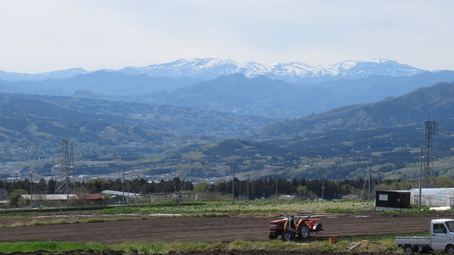 f:id:cafeee:20190613225300j:plain f:id:cafeee:20190613225300j:plain