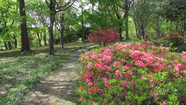 f:id:cafeee:20190613225427j:plain f:id:cafeee:20190613225427j:plain