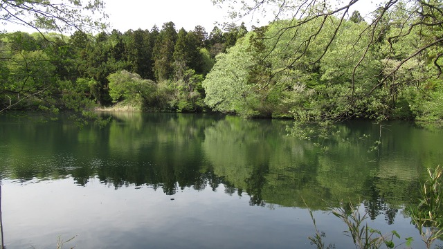 f:id:cafeee:20190613225444j:plain f:id:cafeee:20190613225444j:plain