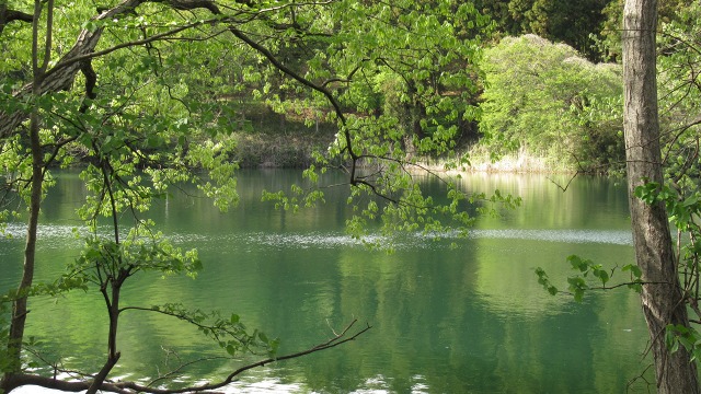 f:id:cafeee:20190613225501j:plain f:id:cafeee:20190613225501j:plain