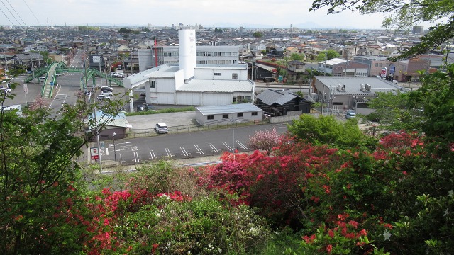 f:id:cafeee:20190619210310j:plain