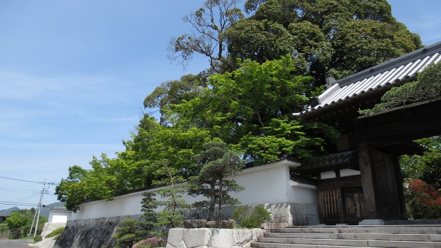 f:id:cafeee:20190709223232j:plain