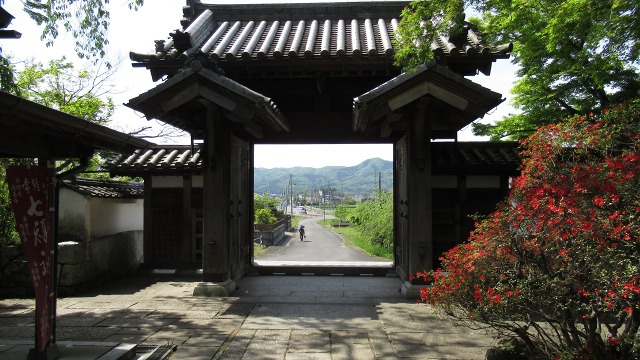 f:id:cafeee:20190709223346j:plain