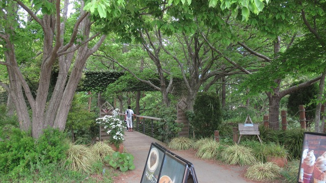 f:id:cafeee:20190717220112j:plain