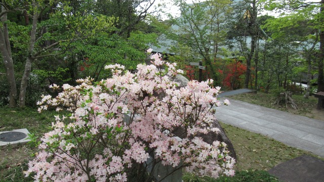f:id:cafeee:20190718220059j:plain
