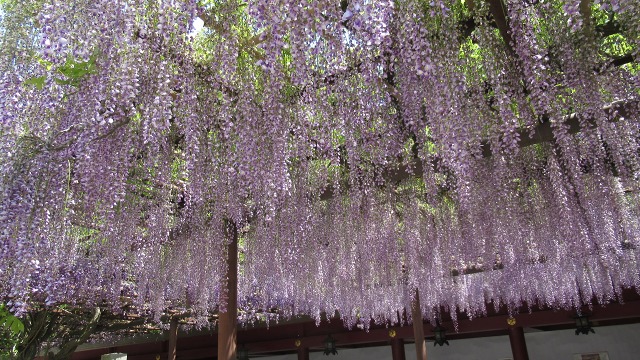 f:id:cafeee:20190719221122j:plain
