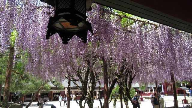 f:id:cafeee:20190719221306j:plain